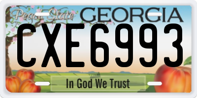GA license plate CXE6993