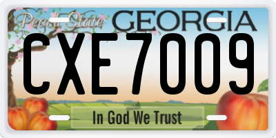GA license plate CXE7009