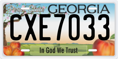 GA license plate CXE7033