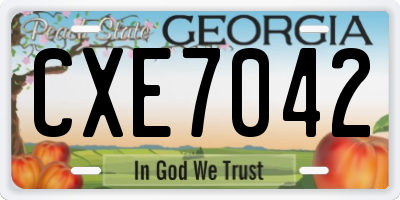 GA license plate CXE7042