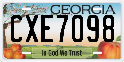 GA license plate CXE7098