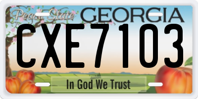GA license plate CXE7103