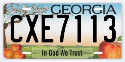 GA license plate CXE7113