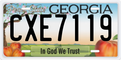 GA license plate CXE7119