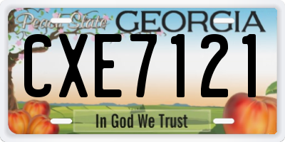 GA license plate CXE7121