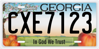 GA license plate CXE7123
