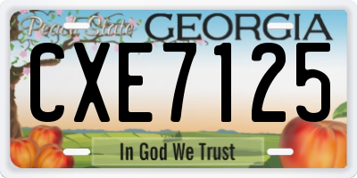 GA license plate CXE7125