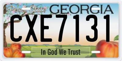 GA license plate CXE7131