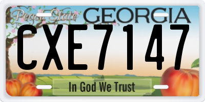 GA license plate CXE7147