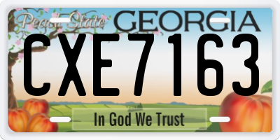 GA license plate CXE7163