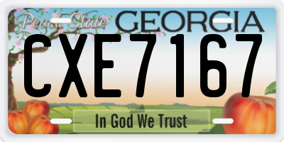 GA license plate CXE7167