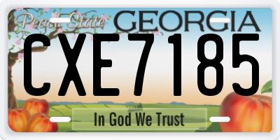 GA license plate CXE7185