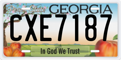 GA license plate CXE7187