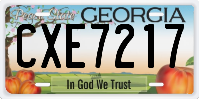 GA license plate CXE7217