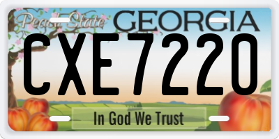 GA license plate CXE7220