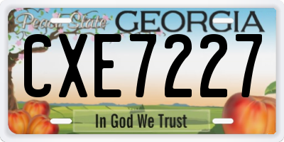 GA license plate CXE7227