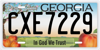 GA license plate CXE7229