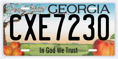 GA license plate CXE7230