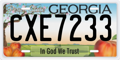 GA license plate CXE7233