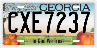 GA license plate CXE7237