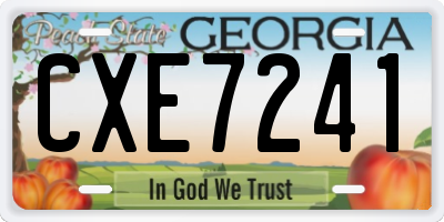 GA license plate CXE7241
