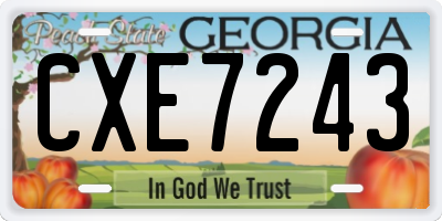 GA license plate CXE7243