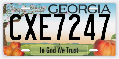 GA license plate CXE7247