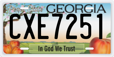 GA license plate CXE7251