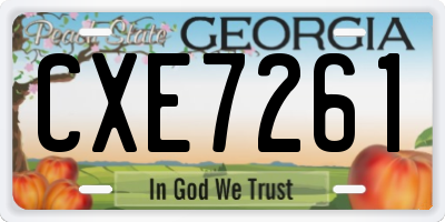 GA license plate CXE7261