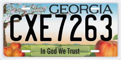 GA license plate CXE7263