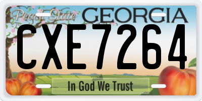 GA license plate CXE7264