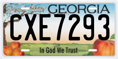 GA license plate CXE7293