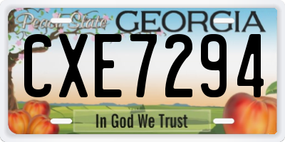 GA license plate CXE7294