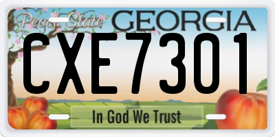 GA license plate CXE7301