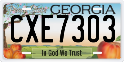 GA license plate CXE7303