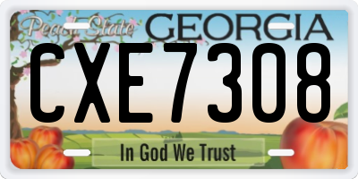 GA license plate CXE7308