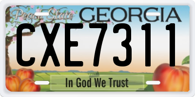 GA license plate CXE7311
