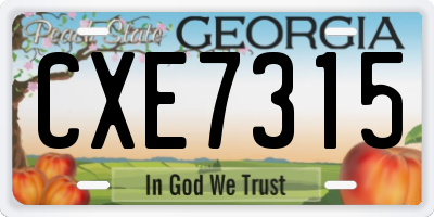 GA license plate CXE7315