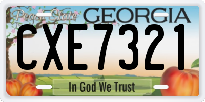 GA license plate CXE7321