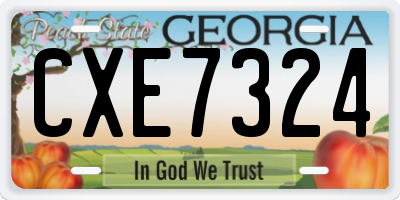 GA license plate CXE7324