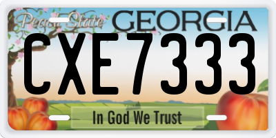 GA license plate CXE7333