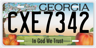 GA license plate CXE7342