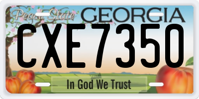 GA license plate CXE7350