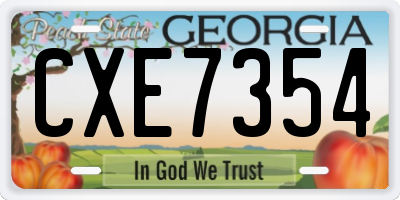 GA license plate CXE7354