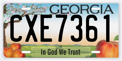 GA license plate CXE7361