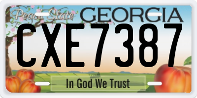GA license plate CXE7387