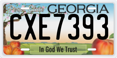 GA license plate CXE7393