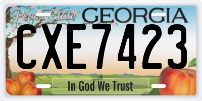 GA license plate CXE7423