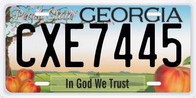 GA license plate CXE7445