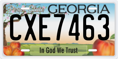 GA license plate CXE7463